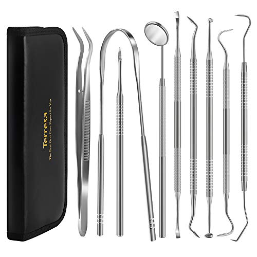 Dental Tools, Terresa 9 Pack Dental Pick Stainless Steel Dental Scaler