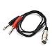 SiYear XLR 3Pin Female to 6.35mm Mono Male 1/4 inch Audio Y Splitter Cable, 1 XLR Female to 2 Dual 6.35mm 1/4