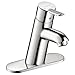Hansgrohe 31701001 Focus Single Hole Faucet