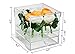 Better Display Cases Clear Acrylic Flowers Display Case with Drawer for Wedding and Home, 9 Holes (A053-A-FL)