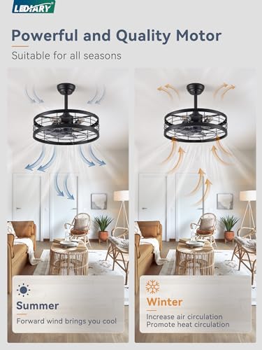 LEDIARY 20 inch Fandelier Caged Ceiling Fan with Light, Bladeless Ceiling Fan with Remote, Farmhouse Fan Lights Ceiling Fixtures for Kitchen, Bedroom, Outdoor(6 Speed, Timing)-Black
