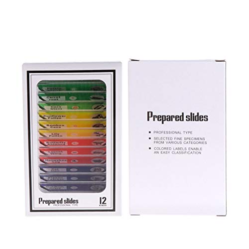 Hukai 12 Pcs Prepared Microscope Slides Set Specimen For Student Basic Biology Education - Thumbnail 3
