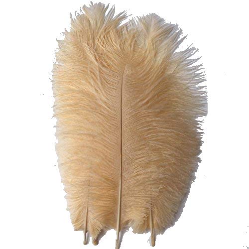 KOLIGHT 50pcs 10'~12'(25~30cm) Natural Ostrich Feathers for DIY Home Wedding Party Office Decoration (Champagne)