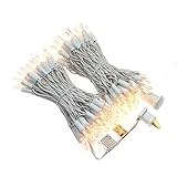 JinBest 100 LED Warm White Christmas Lights, 35 Ft