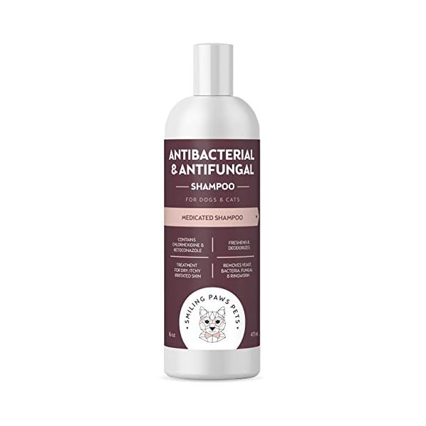 pyoderma shampoo