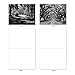 The Best Card Company - Box of 10 All Occasion Cards Blank (4 x 5.12 Inch) - Scenic Landscape Cards Assorted - Tree Lines M3313-NB