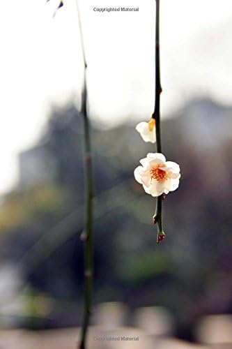 Wintersweet (Chimonanthus praecox) in Bloom Flowering Plant Journal: 150 Page Lined Notebook/Diary