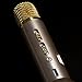 Zio Wireless Bluetooth Portable Magic Karaoke Microphone and 5 Watt Speaker Compatible with Smartphones - Gold