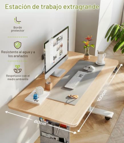 MAIDeSITe Height Adjustable Electric Lift Table, 100 x 60 cm Standing and Sitting Table with Cable Tray, Hook and Storage Pockets, Lift Table with Memory Controller