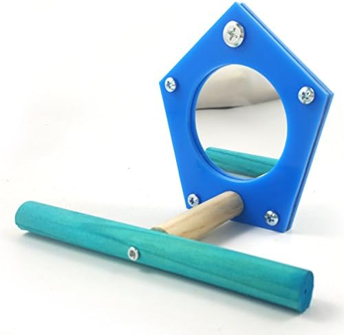 Qin ChenChen Mirror Wooden Frame Durable and Good Quality Perch with Mirror for Parrot Cockatiels Conures Small and Medium Birds
