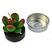 mifengda 12 PCS Cute Succulent Cactus Candles Smokeless Cactus Tealight Candles Delicate Decorative Candles for Valentine's Day Birthday House-Warming Party Wedding Spa Home Decoration Gifts