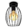B.K.Licht I Plafondlamp I plafoniere I lampen zwart I retro plafondlampen industrieel I draad I metaal I vintage…