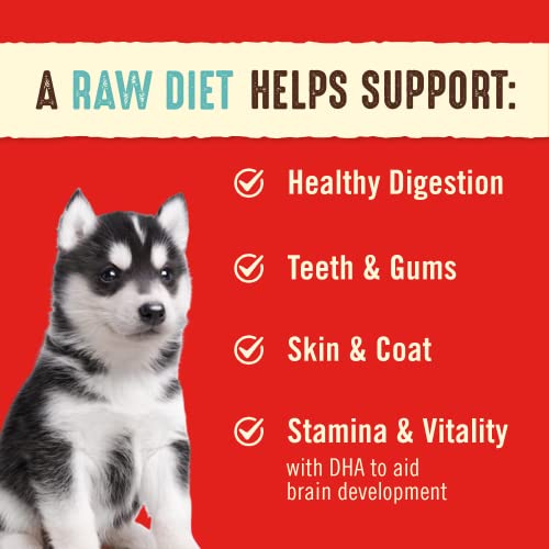 STELLA & CHEWY’S FREEZE DRIED RAW DINNER PATTIES – CRAFTED FOR PUPPIES – GRAIN FREE, PROTEIN RICH PERFECTLY PUPPY BEEF & SALMON RECIPE – 14 OZ BAG
