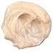 Freeman Beauty Infusion Mask Hydrating Cream 4 Ounce (Collagen) (118ml)