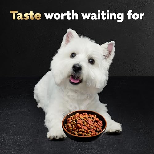 CESAR SMALL BREED ADULT DRY DOG FOOD FILET MIGNON FLAVOR WITH SPRING VEGETABLES GARNISH DOG KIBBLE, 12 LB. BAG