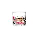 Antoni Barcelona Whiskey Bourbon Glass 12Oz SET 1 Sagrada Hand Painted Mouth Blown Unique gifts presents dad birthday spiritual stunning and gorgeous colorful old fashioned