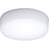 アイリスオーヤマ LED シーリングライト 小型 60W相当 電球色 400lm SCL4L-E