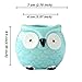 Everyday Better Life 6 PCS Set Cute Animal Owl Shaped Cartoon Home Garden Decoration Succulent Cactus Flower Pot/Plant Pots/Planter/Container