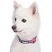 Blueberry Pet Dog Collar Rose Print, Adjustable Medium Dog Collars for Medium Dogs, Large & Small Dogs, Puppy Collar, Pink Dog Collar for Girls, Eco-Friendly, 14.5-20 in Neck