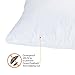 ComfyDown Decorative Throw Pillow Insert, Down and Feather Fill, 100% Cotton Cover, 233 Thread Count - Made in USA (12 X 20)