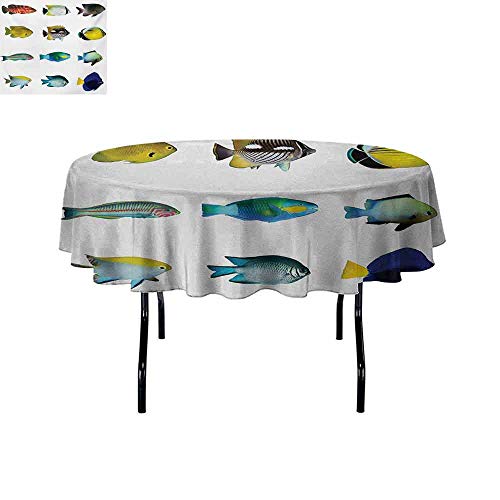 Gloria Johnson Fish Iron Free Anti Fouling Holiday Round