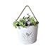 Watering Honey French Country Rustic White Shabby Chic Mini Metal Wall Hanging Planters