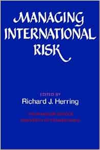 How to reduce risk in international business image