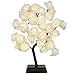 Bolylight Light Up Rose Tree 32 LED Night Light Rose Lamp Artificial Tabletop Tree for Home Decoration Wedding Christmas Warm White