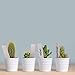 Plant Labels, ZOUTOG 1000 Pcs Plastic Plant Tags 4 Inch Garden Makers with Pen