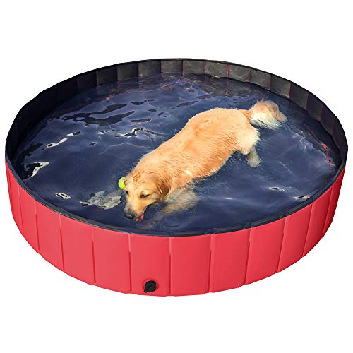 hard dog pool