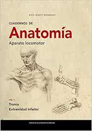 Cuadernos De Anatomía. Aparato Locomotor. Tronco. extremidad inferior: Vol. I Tronco. Extremidad inferior: 298 (Textos docentes)