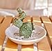 PUDDING CABIN Cactus Christmas Gifts for Women Cactus Ring Holder Dish Birthday Gifts for Women Girls Friends, Cactus Decor for Bathroom Nighstand, Wedding Valentine's Day Xmas Gifts Mothers Day Gifs
