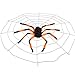 Outdoor Halloween Decorations, Scary Spider with Spider Web, Best for Halloween Party Decorations, Party Favors