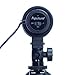 Aputure V-Mic D1 Super-Cardioid Directional Condenser Shotgun Microphone with Windscreen, Windshield and Cold Shoe Mount,Low-Cut Filter,Video Shooting for Canon/Nikon/Sony Etc DSLR Camera