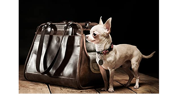 leather pet carrier