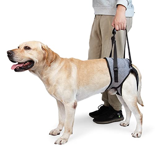 Photo 1 of Dotoner Dog Sling for Large Dogs Hind Leg Support to Help Rehabilitate The Hind Limbs of Elderly Dogs with Weak Hind Legs Disabilities and Injuries Dog Harness Helps Arthritis ACL Recovery (L, Grey)
