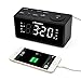 iTronics Upgraded Version LED Dual Alarm Clock Radio with USB Charging, Digital AM/FM Radio, Snooze, Brightness Control and Battery Backup Functions,12/24 Hours Display