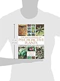 Image de The Encyclopedia of Psychoactive Plants: Ethnopharmacology and Its Applications