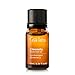 Citronella - 100% Pure Therapeutic Grade Essential Oil - 10ml - Gya Labs