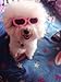 Outdoor Dog Sunglasses Anti-UV Eye Protection Goggles Waterproof Windproof Anti-Fog for Small Pet Puppy Cat (Pink)