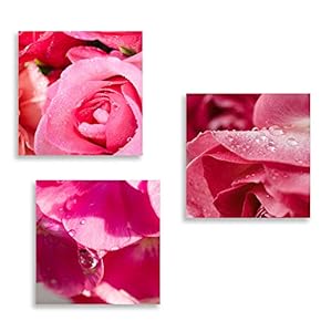wall26 3 Panel Canvas Wall Art Romantic Rose...