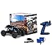 DoitY Electric RC Car, 1:16 4WD 2.4Ghz High Speed Off Road Remote Control Car/ Vehicle/ Truck/ Crawler Climber, Two Rechargeable Batteries Included, Adults and Kids