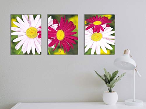 White and Red Daisies Canvas Print for Living Room Chrysanthemum Wall Art Decor Painting Pictures Artwork (12x16inch x3pcs)