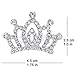 Small Princess Crowns Tiaras Party Favors for Women Girls Toddler Bulk Combs Clips Hair Accessories Pack of 12