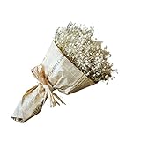 Dried Flower,Han Shi Modern Natural Gypsophila Home Decor Sky Star Babys Breath Gift (L, A)