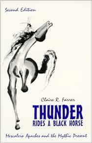 Thunder rides a black horse by claire farrer essay 03 picture