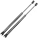 CCIYU Qty(2) 6607 SG325028 Lift Supports Struts Replacement Fit for Nissan Pathfinder 3.5L 2013,for Nissan Pathfinder 4.0L 2005-2012,for Nissan Pathfinder 5.6L 2008-2012 Window Glass