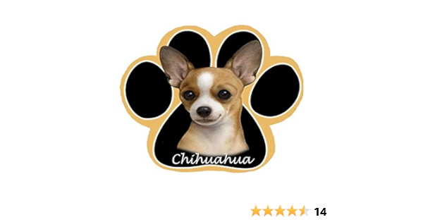 chihuahua amazon