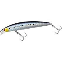 Amazon.com : Daiwa Shoreline Shiner Z Set Upper Slim 95S