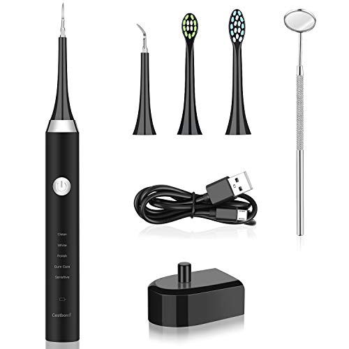 CESTBON Electric Dental Calculus Remover, High Frequency Vibration